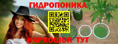 spice Партизанск